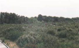 educare al parco 21